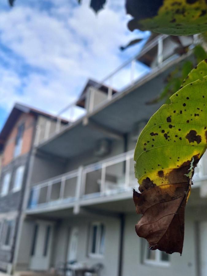 Apartmani Rosa Višegrad Kültér fotó